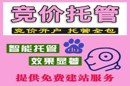 某企业SEM广告投放的ROI提升策略及效果展示
